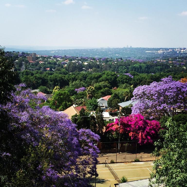 Zietsies Guest House Johannesburg Kültér fotó